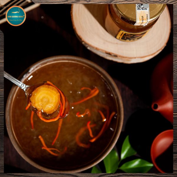 Yến sâm đông trùng hạ thảo Kim Cương Vàng