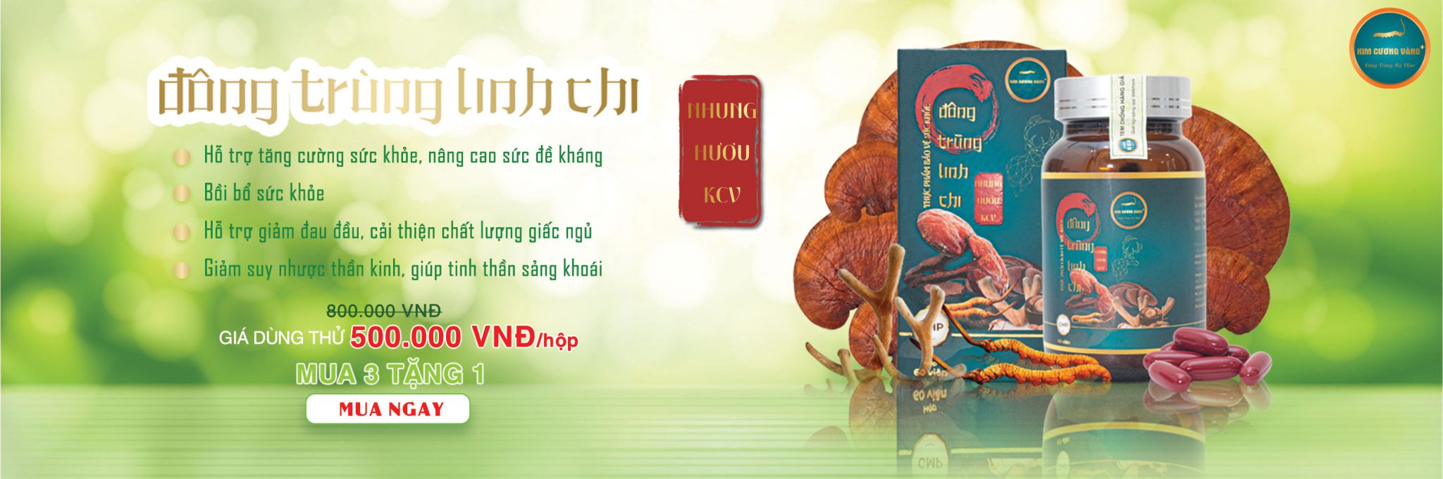 Banner Kim Cương Vàng