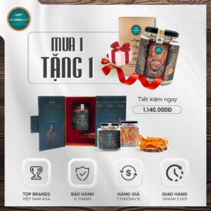 Đông trùng hạ thảo thượng phẩm Kim Cương Vàng