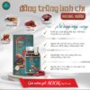 Viên uống đông trùng linh chi nhung hươu Kim Cương Vàng