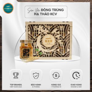 Yến sâm đông trùng hạ thảo Kim Cương Vàng
