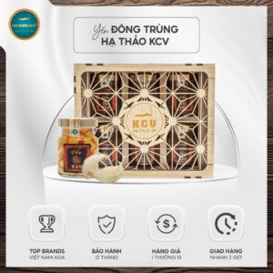Hộp yến chưng đông trùng hạ thảo kim cương vàng